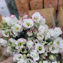 우리공판장 이미지