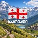 (주)플러스응급이송센터 | 조지아 - 여행자 장기체류 보험 비교부터 꿀팁까지 ft.카카오 vs 마이뱅크