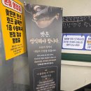 해송복국 복요리전문점 | [서울/선릉 점심 맛집] 갓성비 복요리 전문점 '수림복국 별관' 방문 후기