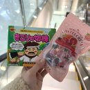 윈치과병원 | 쏘울푸드 영접한 써울여행😇 | 산청숯불가든, 아베베베이커리, 커피한약방, 진미평양냉면, 뮤지컬 웃는남자