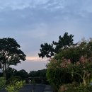 달숲하우스 | [제주] 달숲게스트하우스 | 제주 서쪽 숙소 | 다정한소녀같은 내돈내산 숙소 후기