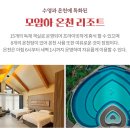 알파항공여행사
