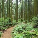 붉은오름자연휴양림 이미지