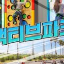 제주액티브