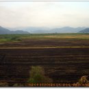 외산마을 앞 이미지