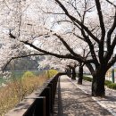 빌라 마르디 이미지