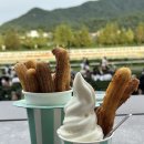 경마공원대로 | 과천 가볼만한곳, 렛츠런파크 서울 베팅하는 방법, 과천 경마공원 야간개장 다녀온 후기🌙✨