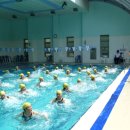 2013 동구청장배 생활체육 수영대회 이미지
