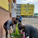 이화초등학교 이미지