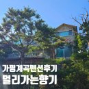 두밀리낚시터 | 가평 계곡 펜션 추천 멀리가는향기 참꽃마리 후기 (+비추 이유도 있음..)