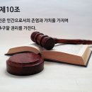 사전연명의료의향서가 있기까지 이미지