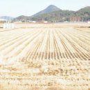 별량면 행정복지센터 이미지