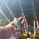 학동제일 이미지