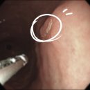 우리성모내과의원 이미지