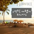 트립포미 이미지