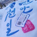진이농원