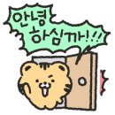 파레트팡강릉점 이미지