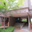 비룡로2 이미지