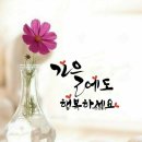 청춘난타 이미지