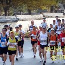 동아먹거리