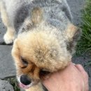 홍천38민박 이미지