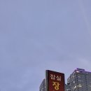 장미 수선 이미지