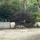 시골살이 집으로 | 퇴직 후 아빠의 시골살이 준비 기록 1