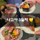 세븐일레븐동화마을 | 일본여행💛 동화마을같은 시라카와고 in 나고야 3일차 기록 :)