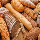 글래머짐 이미지