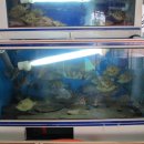 함덕 바당 이미지