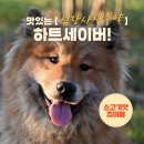 편한약국 이미지