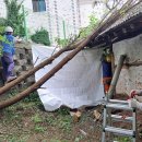 일죽면사무소 이미지