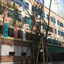 판교중학교 이미지