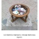 국민성 측정중인 해시계 근황 이미지