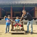 [경북 문경] 아이들과 함께 간 문경 사과축제(문경 사과장터) - 아이와 가을나들이는 문경 사과축제로...