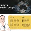 경상메디칼 이미지