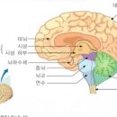 예초리경로당 이미지