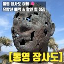 도남로 | 동백꽃명소 통영장사도유람선 4월 방문 솔직 후기 장사도배편 가격 갈매기 새우깡