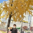 뫼골공원 이미지