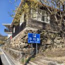 반석민박 | 구례산수유 지금 가도 될까? 3월말 개화상황 +산동마을 코스 +봉성피자
