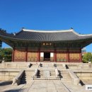 청춘투어 - 장흥군 중앙로1길 8 | 청춘투어