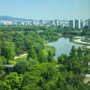 월드행정사 | 서울 | 위치, 가성비, 뷰 모두 잡은 서울올림픽파크텔 스탠다드 트윈 솔직 후기 (조식 포함)