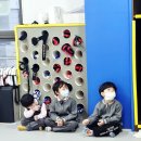 어울 용인대 태권도장 네이버블로그