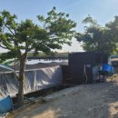 신왕지낚시터 이미지