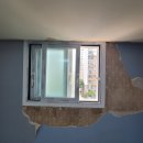 국제백양 이미지