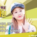 고란 이미지