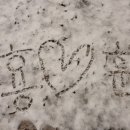 참한통닭 | 2/16 ~ 2/28 일기 (설연휴/바밤/결혼식계약/눈/독도/포라카이)