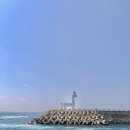 제주공항게스트하우스그린데이 네이버블로그