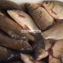 용담호건강원