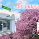 몬스터커피대구대점